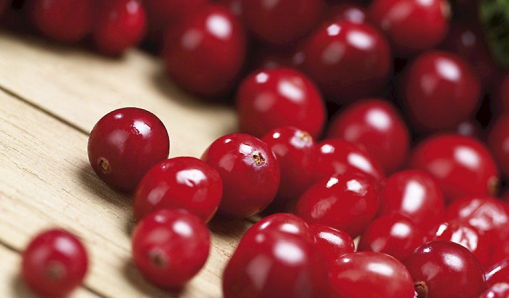 CRANBERRIES